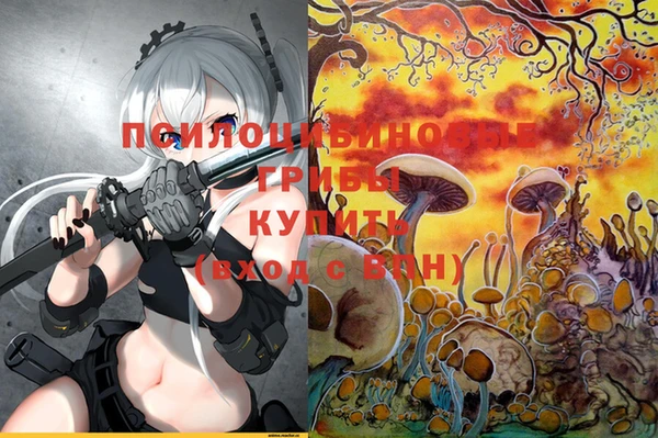 дмт Алексин