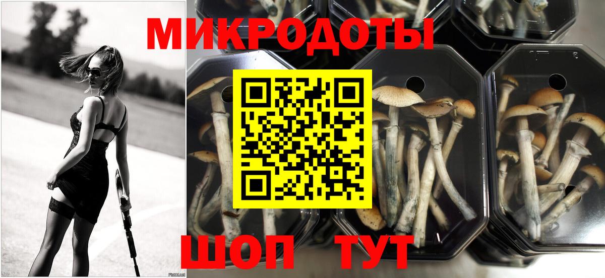 ГАШ  МАРИХУАНА  Alpha PVP СК   МАРИХУАНА  Cocaine  Апшеронск  Мефедрон кристаллы  Гашиш  Вход с VPN  Где продают наркотики? 