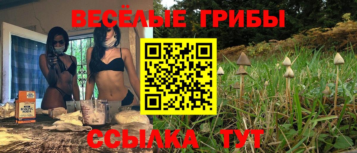 Псилоцибиновые грибы ЛСД Апшеронск